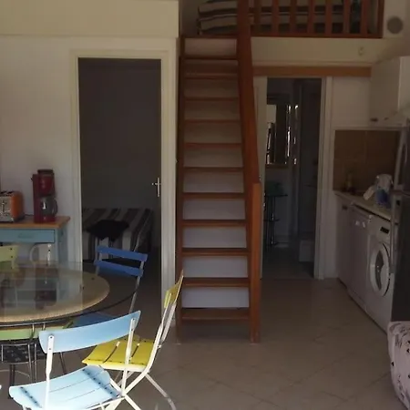 N°23 A 100 Metres De La Saint-Cyprien (Pyrenees-Orientales)